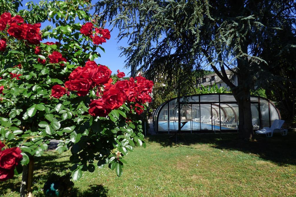 Hotel Du Lion D'Or Entraygues-sur-Truyère Buitenkant foto