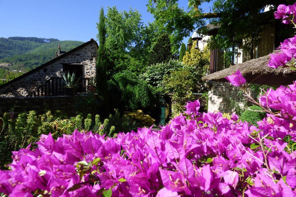 Hotel Du Lion D'Or Entraygues-sur-Truyère Buitenkant foto