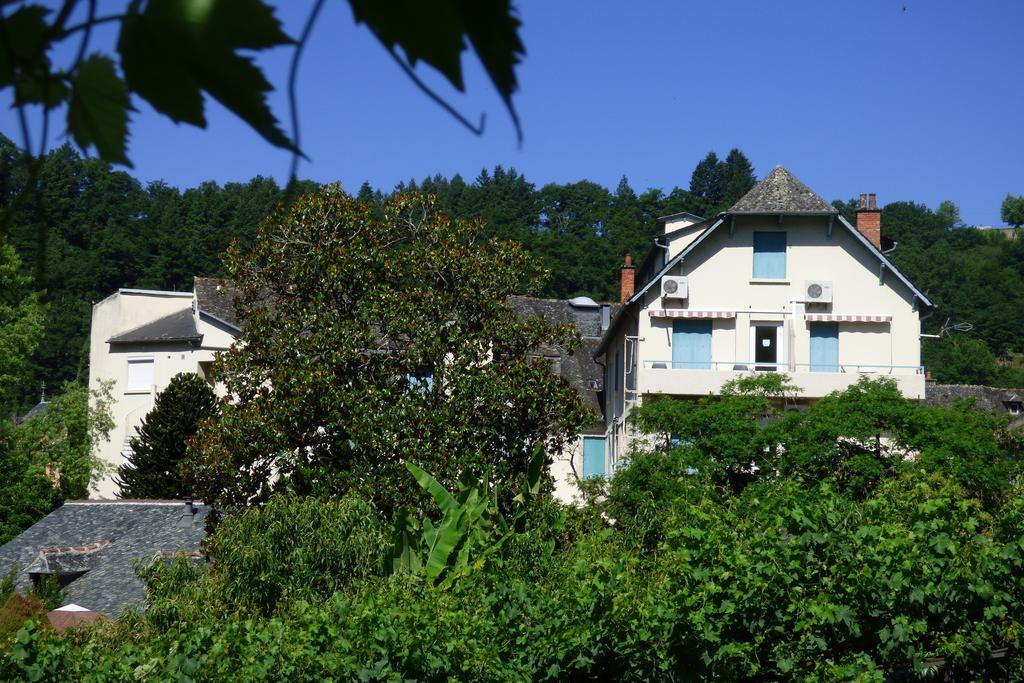 Hotel Du Lion D'Or Entraygues-sur-Truyère Buitenkant foto